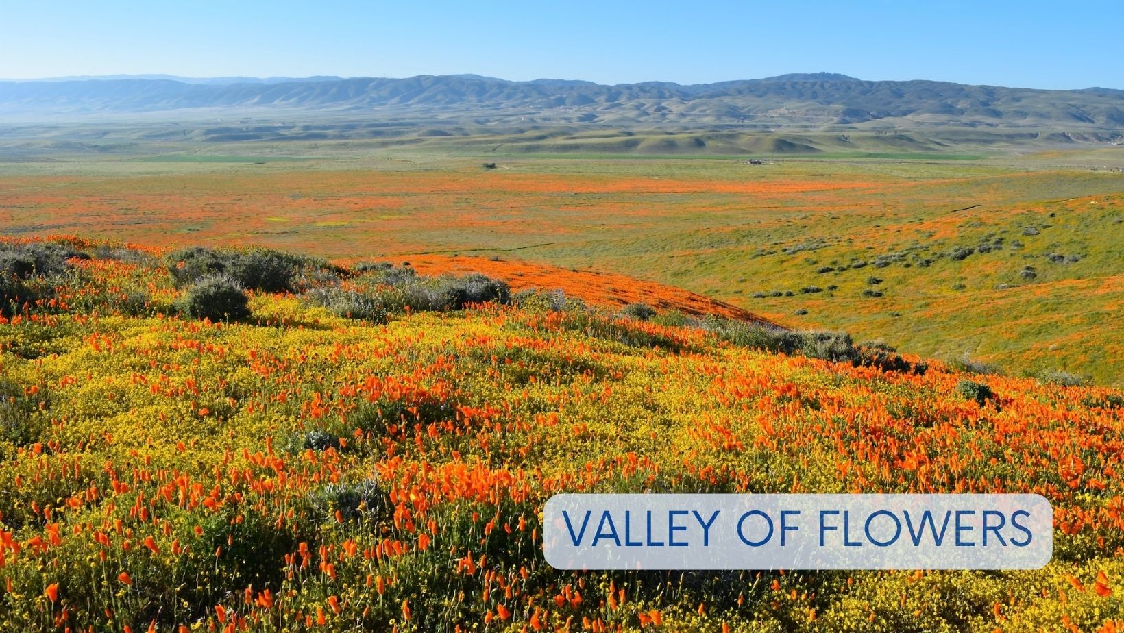 Valley Of Flowers the best romantic tourist places