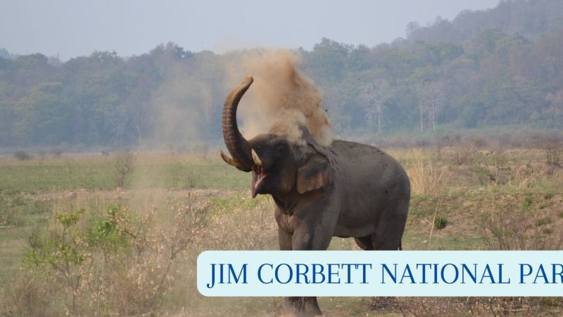 JIM-CORBETT