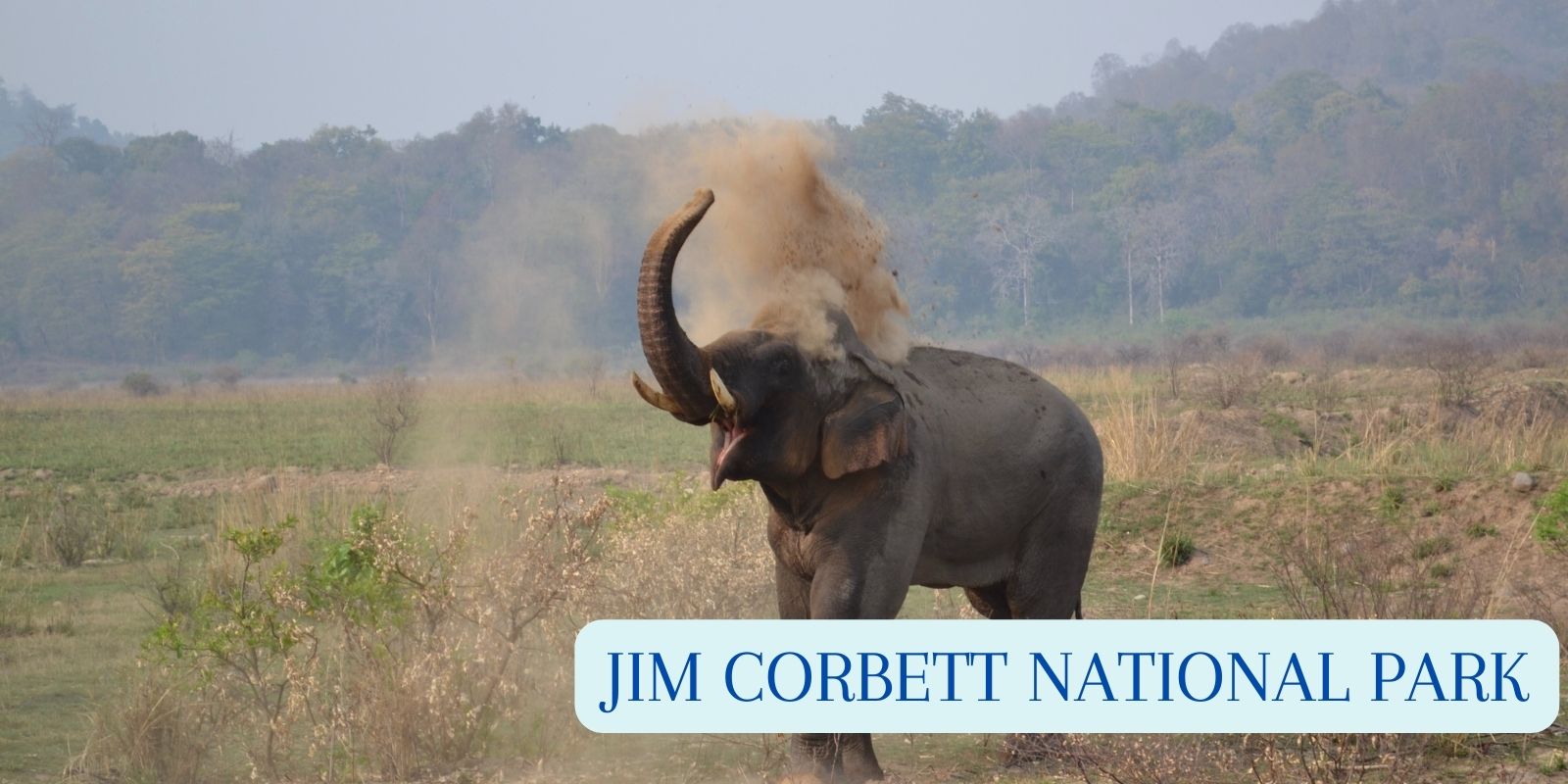 Jim Corbett National Park -